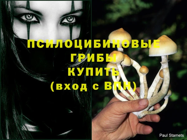 ГАЛЛЮЦИНОГЕННЫЕ ГРИБЫ Бронницы