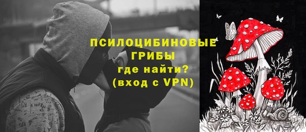 ГАЛЛЮЦИНОГЕННЫЕ ГРИБЫ Слюдянка