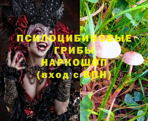 mix Бородино