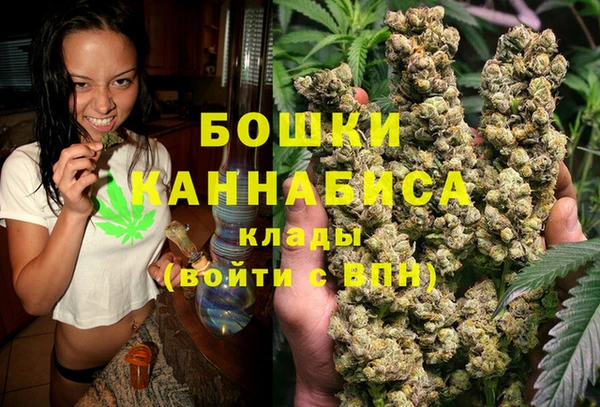ГАЛЛЮЦИНОГЕННЫЕ ГРИБЫ Бронницы