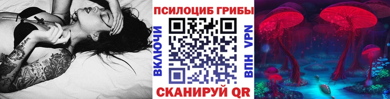 Галлюциногенные грибы Psilocybine cubensis  где продают   hydra рабочий сайт  Людиново 